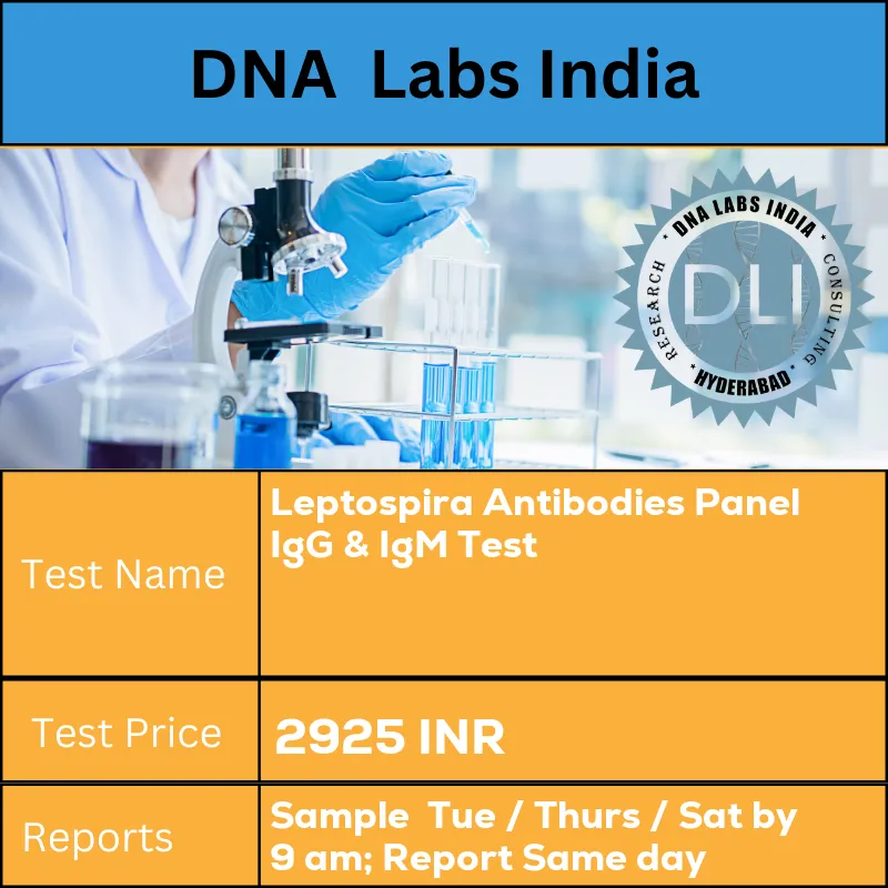 Leptospira Antibodies Panel IgG & IgM Test cost 2 mL (1 mL min.) serum from 1 SST. Ship refrigerated or frozen INR in India
