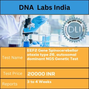 EEF2 Gene Spinocerebellar ataxia type 26