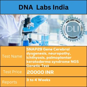 SNAP29 Gene Cerebral dysgenesis