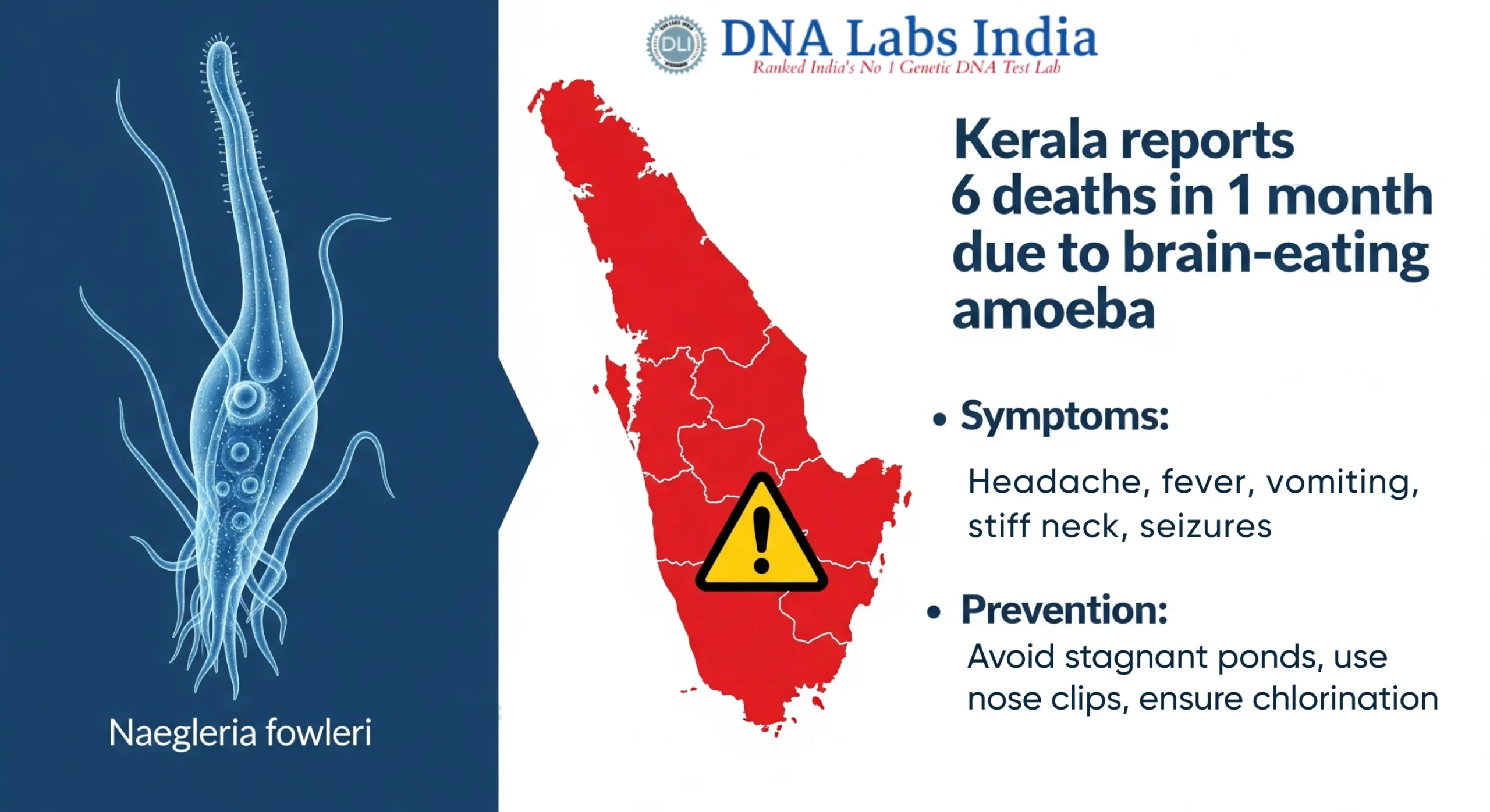 Health awareness poster about brain-eating amoeba outbreak in Kerala, showing Kerala map with warning sign, microscopic amoeba illustration, symptoms, and prevention tips.