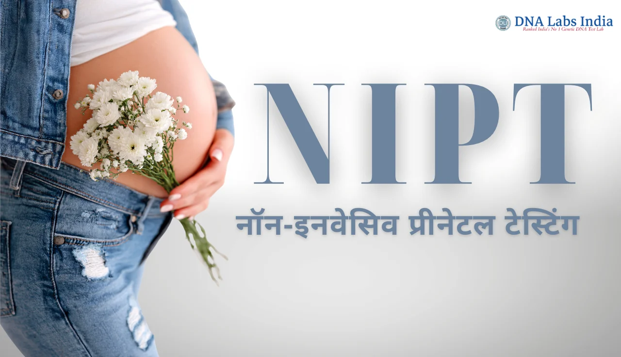 गर्भवती महिला का पेट और फूल, NIPT टेस्ट के माध्यम से गर्भावस्था में जेनेटिक स्क्रीनिंग