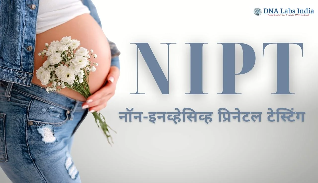 गर्भवती महिलेच्या पोटाचा क्लोज-अप फोटो, हातात पांढऱ्या फुलांचा गुच्छ धरलेला, बाजूला “NIPT – नॉन-इनव्हेसिव्ह प्रिनेटल टेस्टिंग” असा मजकूर.